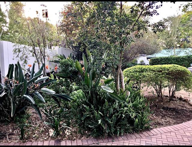 1 BEDROOM APARTMENT RENTED IN BRYANSTON EAST